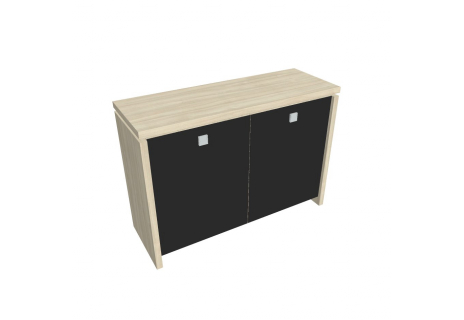 Skříň dvoudveřová, skleněné dveře A 2 2 01