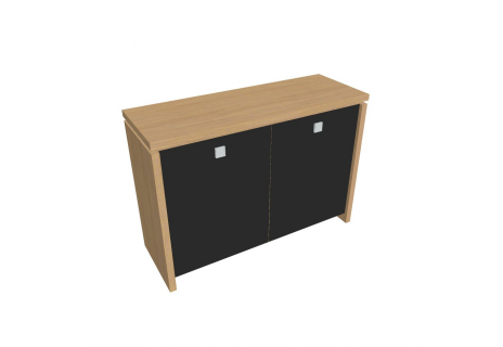 Skříň dvoudveřová, skleněné dveře A 2 2 01