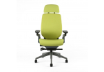 Kancelářská židle čalouněná s podhlavníkem, F-01 zelená KARME